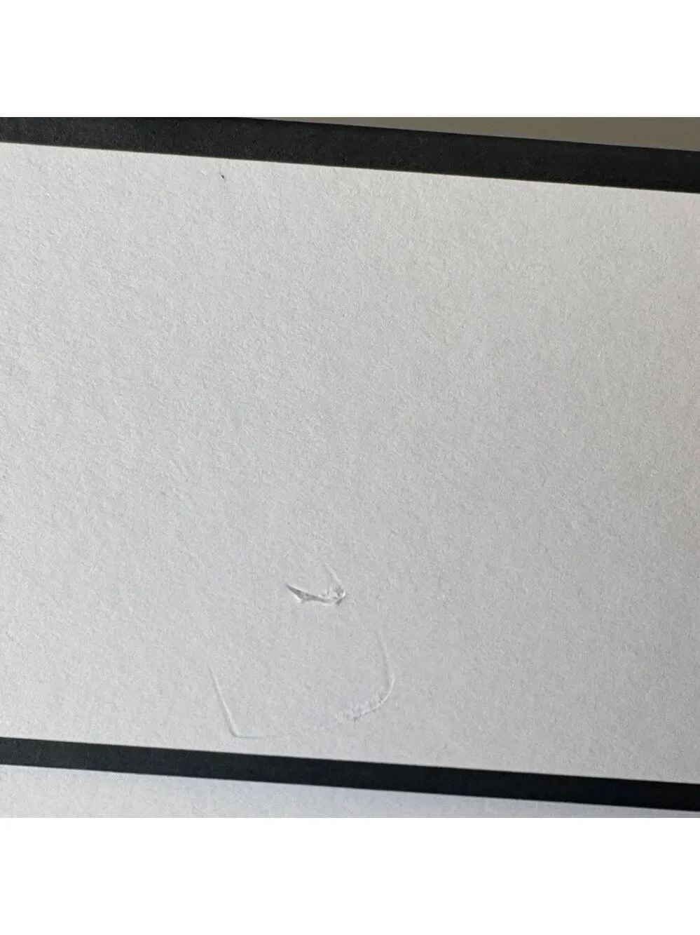 Authentic CHANEL White with Black Trim Logo Gift Box
